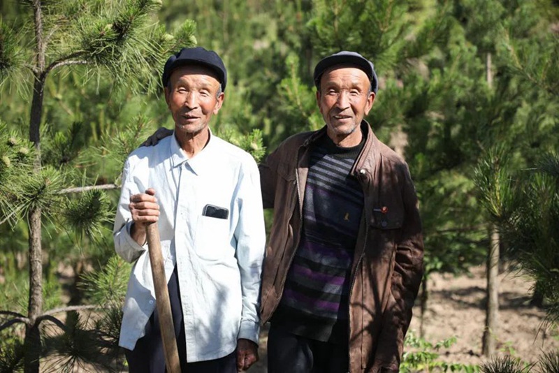 위대한 ‘강창 형제’, 50년 넘게 나무심기로 녹지 건설