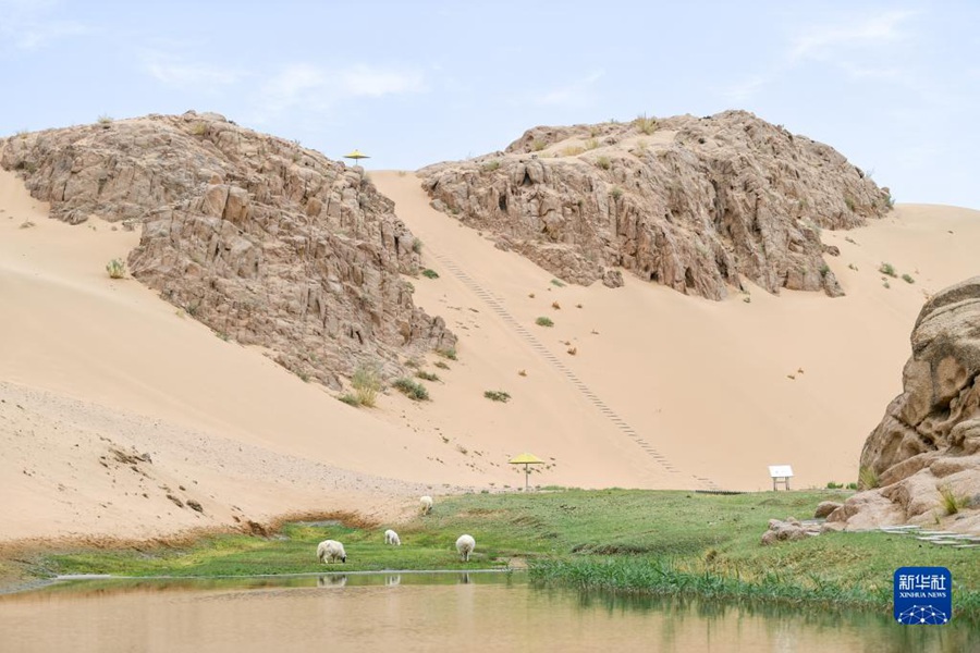 [포토] 네이멍구 아라산 대사막 톈츠 여름 풍경