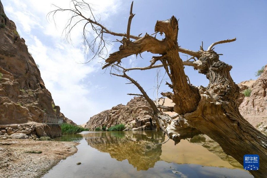7월 12일 촬영한 아라산 대사막 톈츠관광지 풍경 [사진 출처: 신화사]