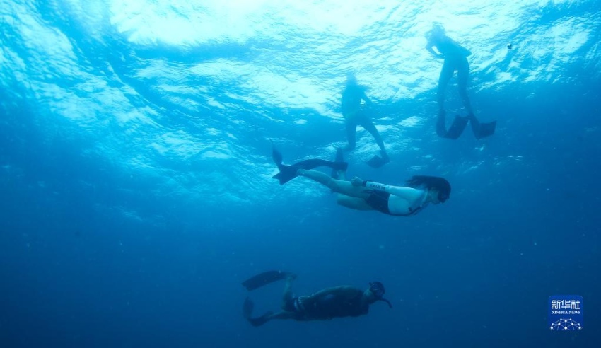 관광객들이 프리다이빙을 하고 있다. [8월 3일 촬영/사진 출처: 신화사]