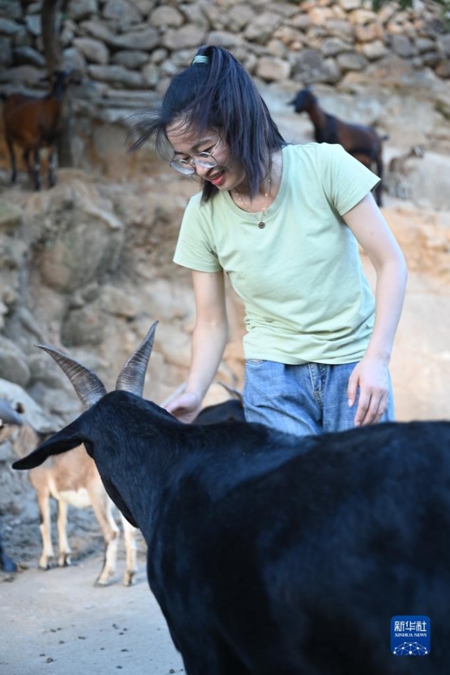 왕치가 푸딩시 위산섬에서 흑염소 한 마리를 돌보고 있다. [8월 5일 촬영/사진 출처: 신화사]