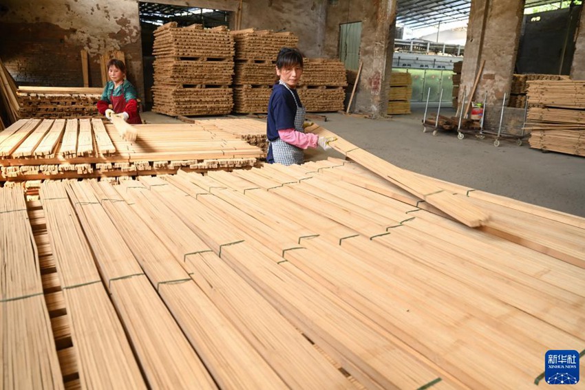 직원들이 대나무 가구 공예품 제작을 위한 재료를 정리하고 있다. [8월 9일 촬영/사진 출처: 신화사]