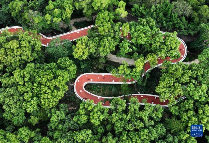 푸저우(福州) 진지(金雞)산 공원 재스민 생태계 산책 코스 [10월 1일 드론 촬영/사진 출처: 신화사]