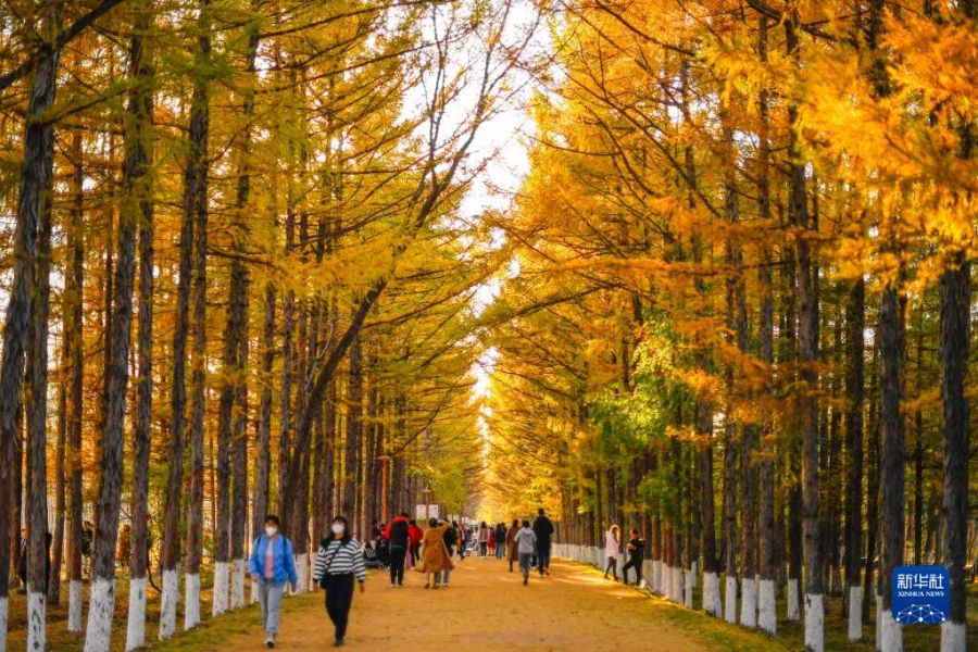 10월 19일 창춘시 백목원에서 시민들이 가을 풍경을 감상하고 있다. [사진 출처: 신화사]