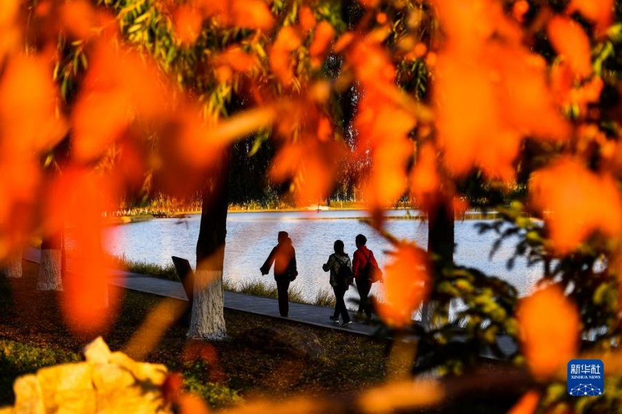 10월 19일 창춘시 유이공원에서 시민들이 산책하고 있다. [사진 출처: 신화사]