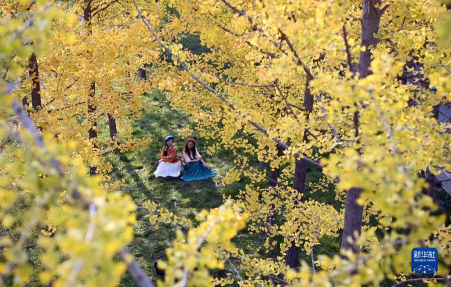 시민들이 옌난공원에서 휴식하고 있다. [10월 18일 촬영/사진 출처: 신화사]