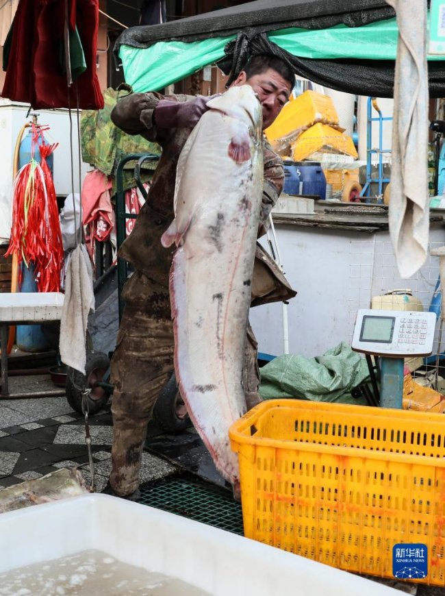 상인이 생선의 무게를 재고 있다. [9월 4일 촬영/사진 출처: 신화사]