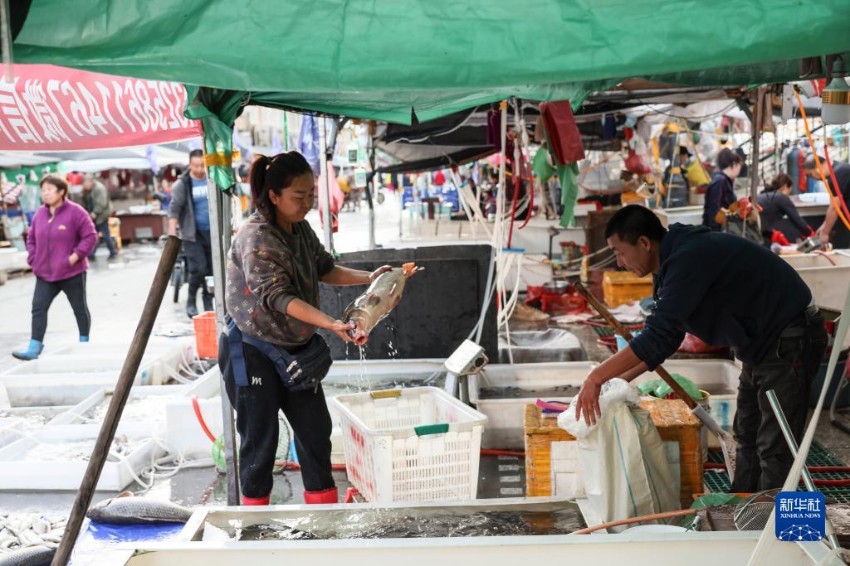 상인들이 생선을 포장하고 있다. [9월 4일 촬영/사진 출처: 신화사]