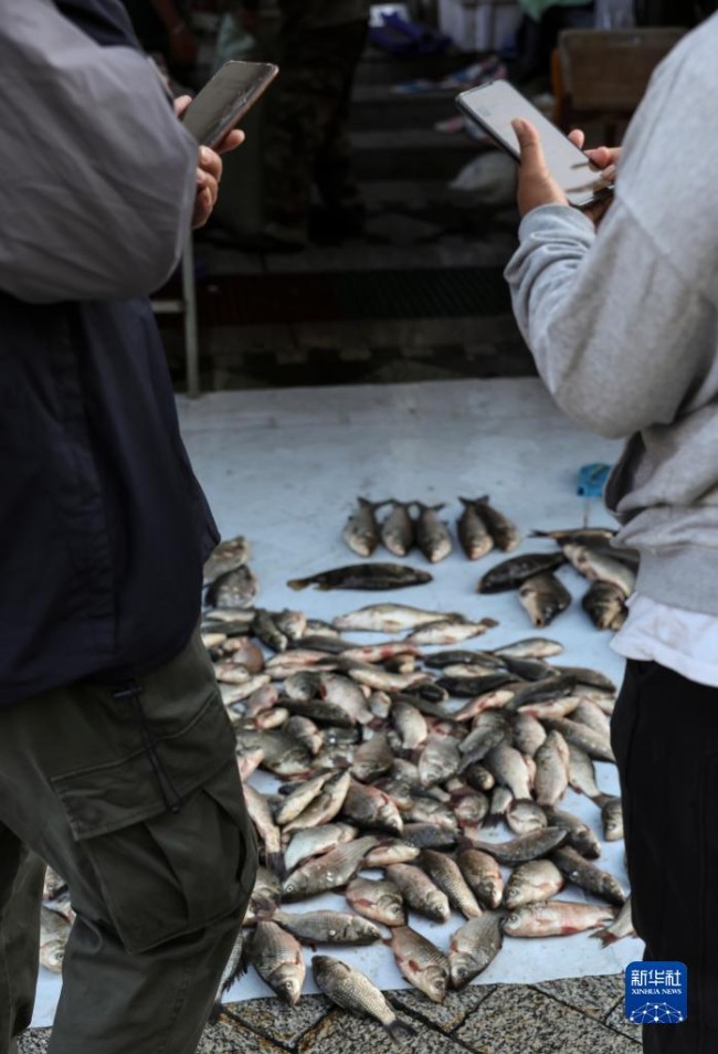 시민이 모바일 QR코드로 생선을 구매한다. [9월 4일 촬영/사진 출처: 신화사]