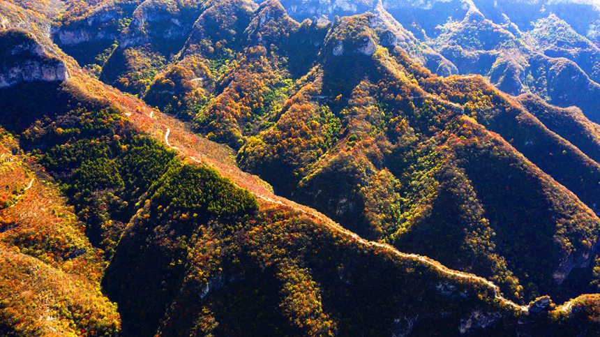 허베이성 서현 좡쯔링 단풍대협곡의 가을 풍경 [사진 촬영: 양옌중]