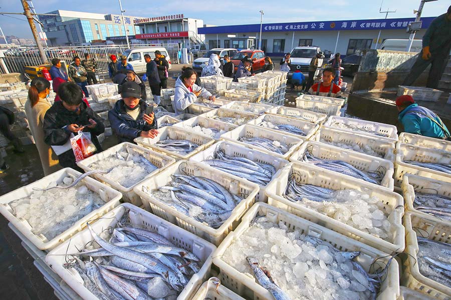 어민들이 선별과 분리 작업을 하고 있다. [10월 20일 촬영/사진 촬영: 보린]