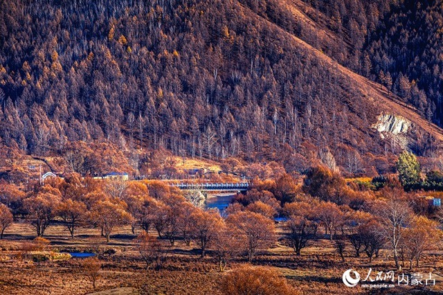 [포토] 다싱안링에서 다채로운 가을 풍경을 마주하다 
