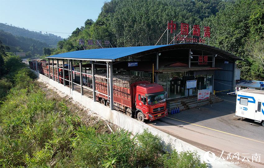 2022년~2023년 중국과 라오스 양국 간 첫 사탕수수 국제운송 차량들이 멍만 통상구에 진입하고 있다. [사진 출처: 인민망]