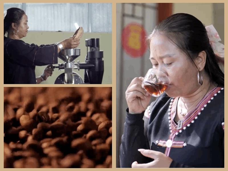 유엔으로 진출한 중국 와족 여성들이 재배한 커피 원두