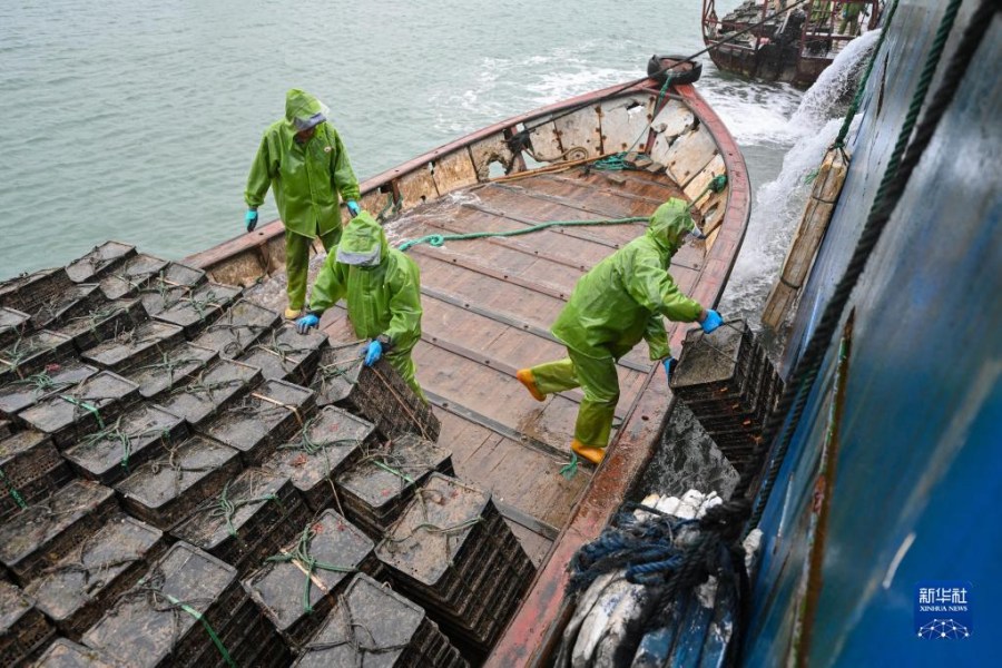 어민들이 선박 위 전복을 어선으로 옮긴다. [11월 25일 촬영/사진 출처: 신화사]