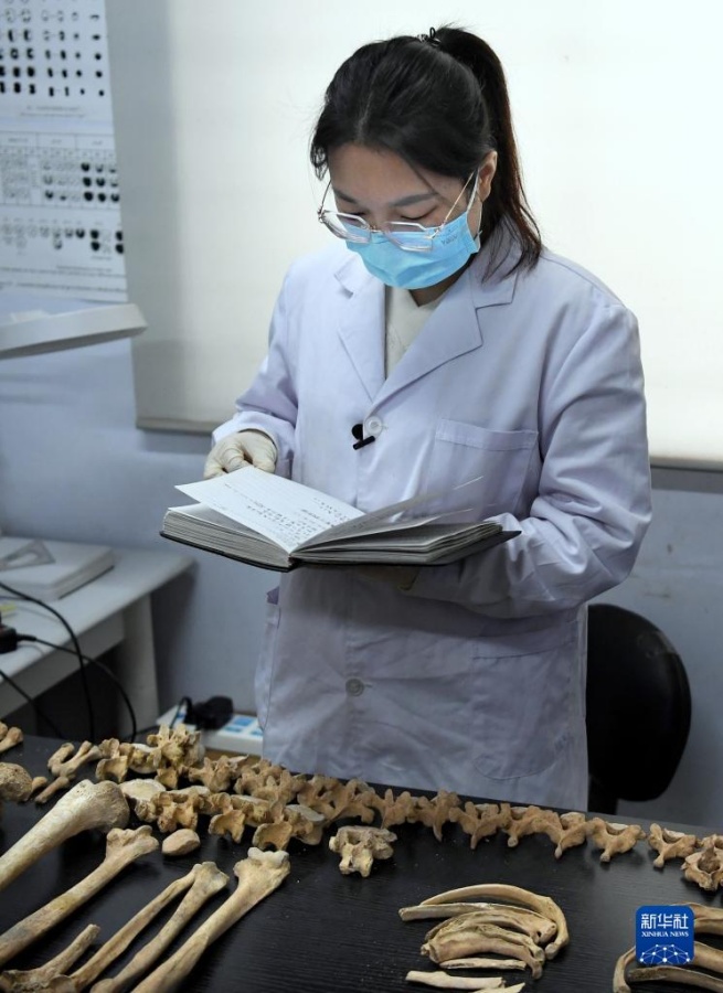 리옌전은 허난성 문물고고연구원에서 연구 일지를 넘겨본다. [11월 30일 촬영/사진 출처: 신화사]