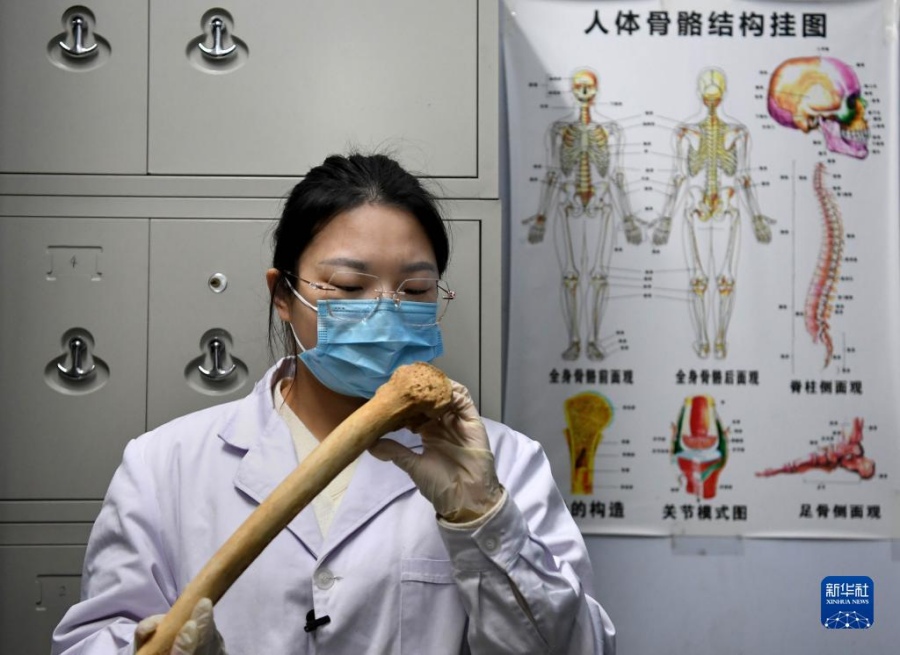 리옌전은 허난성 문물고고연구원의 표본실에서 해골 표본을 관찰한다. [11월 30일 촬영/사진 출처: 신화사]