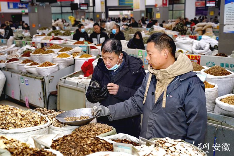 ‘중화 약재도시’ 안후이 보저우 약재시장 개장