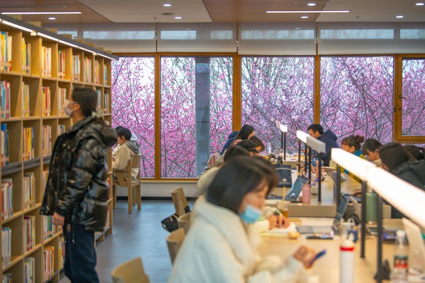 [포토] 충칭, 봄이 숨겨져 있는 도서관