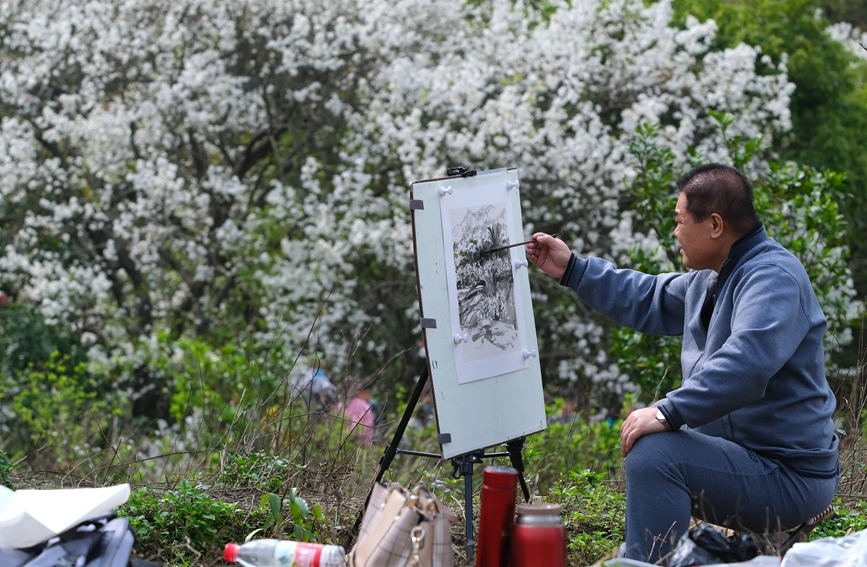 예술가가 배꽃 계곡에서 창작활동을 하고 있다. [사진 촬영: 아오솨이창(敖帥昌)]