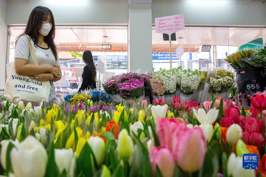 손님이 빡크롱 딸랏 꽃시장에서 윈난에서 온 꽃을 고르고 있다. [2월 21일 촬영/사진 출처: 신화사]