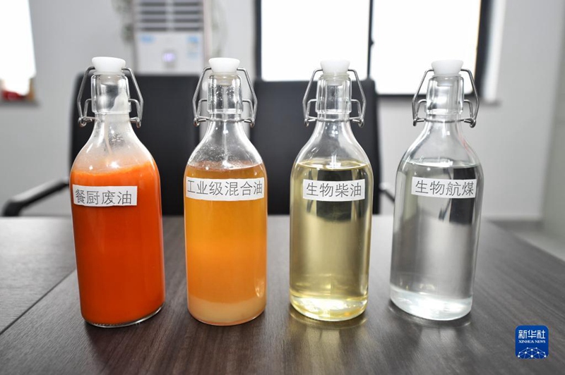 쓰촨의 한 환경보호과학기술기업에서 보여준 폐식용유, 공업급 혼합유, 바이오 디젤 및 바이오 항공연료 샘플이다. [2월 21일 촬영/사진 출처: 신화사]