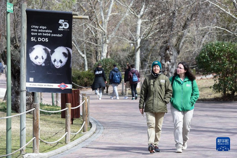 3월 7일, 스페인 마드리드 동물원의 자이언트판다 쌍둥이 포스터를 지나치는 사람들
