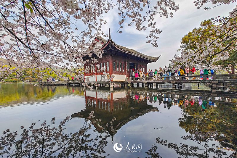 3월 27일, 저장성(浙江) 항저우(杭州)에 위치한 관광명소 시후(西湖)호에 벚꽃이 만발하고 수양버들이 푸르름을 더하고 있다.