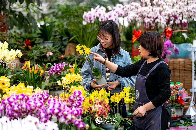 3월 23일, 산시성 타이위안의 양자위(楊家峪)화훼시장을 찾은 시민들이 꽃을 고르고 있다