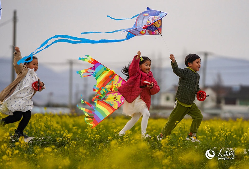 3월 3일, 저장(浙江)성 닝보(寧波)시 전하이(鎮海)구의 유채꽃밭에서 어린이들이 연을 날리고 있다.