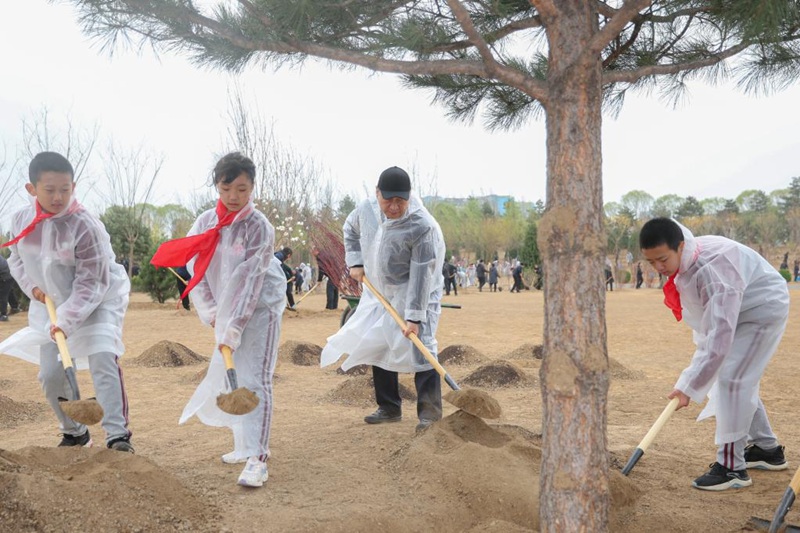 시진핑 주석이 학생들과 함께 삽으로 흙을 떠서 나무를 심고 있는 모습 [사진 출처: 신화사]