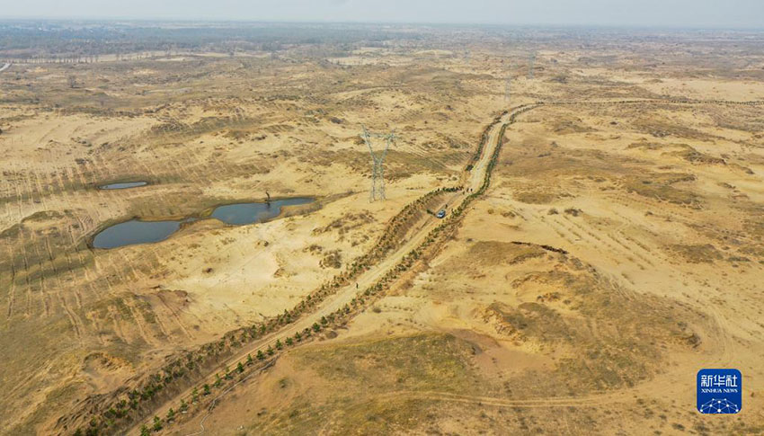 사막방지 관계자들이 식수조림 사업에 한창이다. [4월 15일 드론으로 촬영/사진 출처: 신화사]