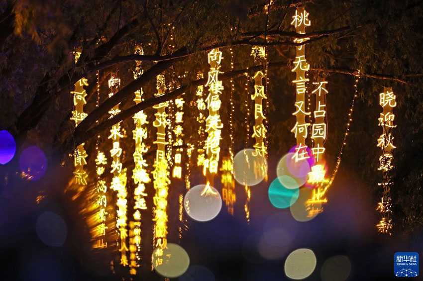 선양시 완취안공원 시가 거리에 있는 등불 [5월 26일 촬영/사진 출처: 신화사]