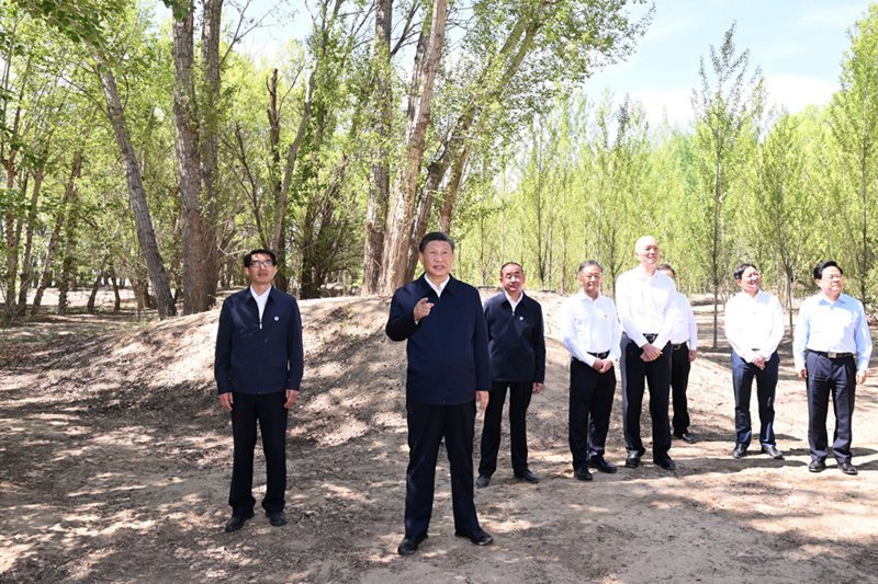 시진핑 주석이 6일 오전 린허(臨河)구 국영 신화(新華) 삼림 농장을 시찰한다. 