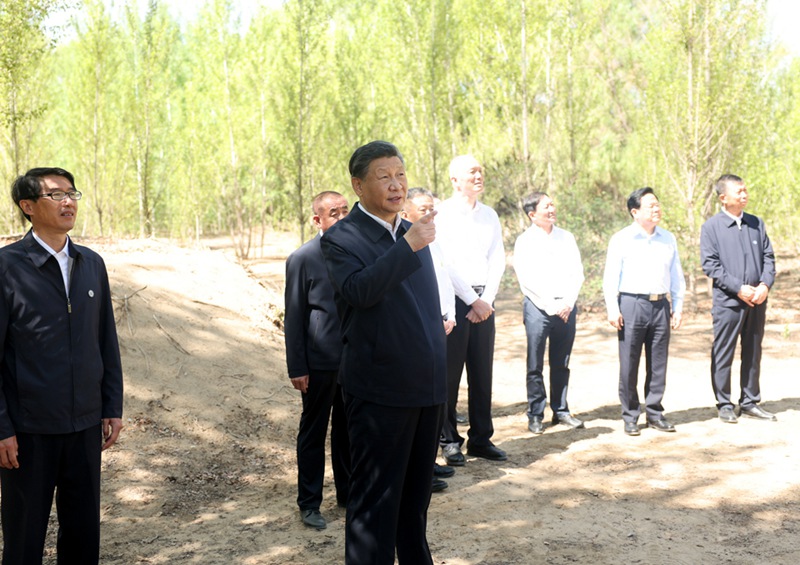 시진핑 주석이 6일 오전 린허구 국영 신화 삼림 농장을 시찰한다.  