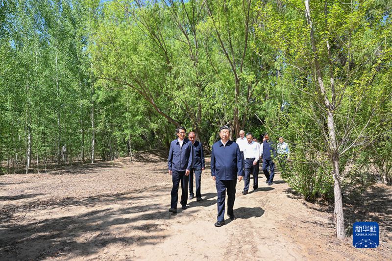 시진핑 주석이 6일 오전 린허구 국영 신화 삼림 농장을 시찰한다.  