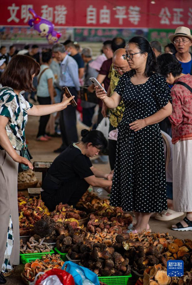 시민들이 야생 버섯을 구입하고 있다. [7월 2일 촬영/사진 출처: 신화사]