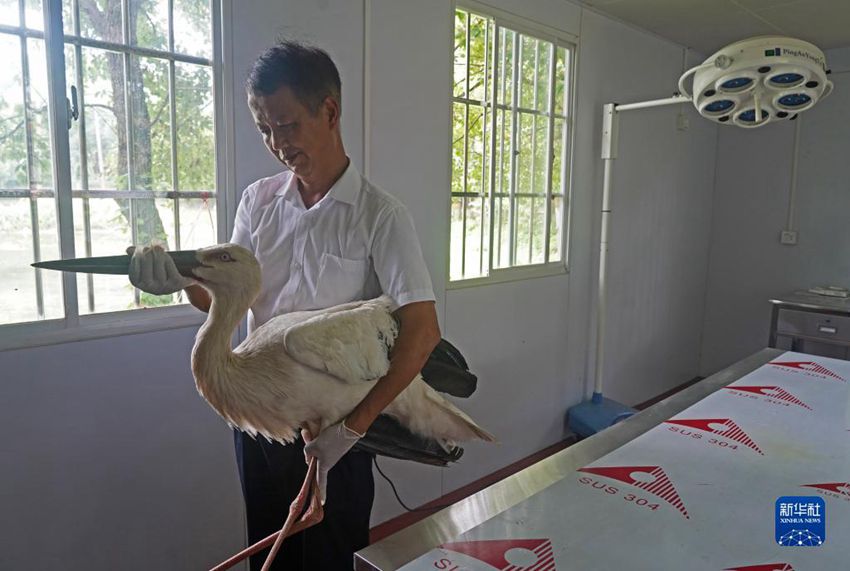 왕샤오룽 씨가 황새를 안고 검사실에서 나온다. [7월 15일 촬영/사진 출처: 신화사]