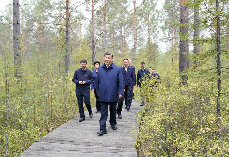 6일 오후 시진핑 주석이 다싱안링 지역 모허시 모허 삼림농장 천연림 구역을 둘러보고 있다.