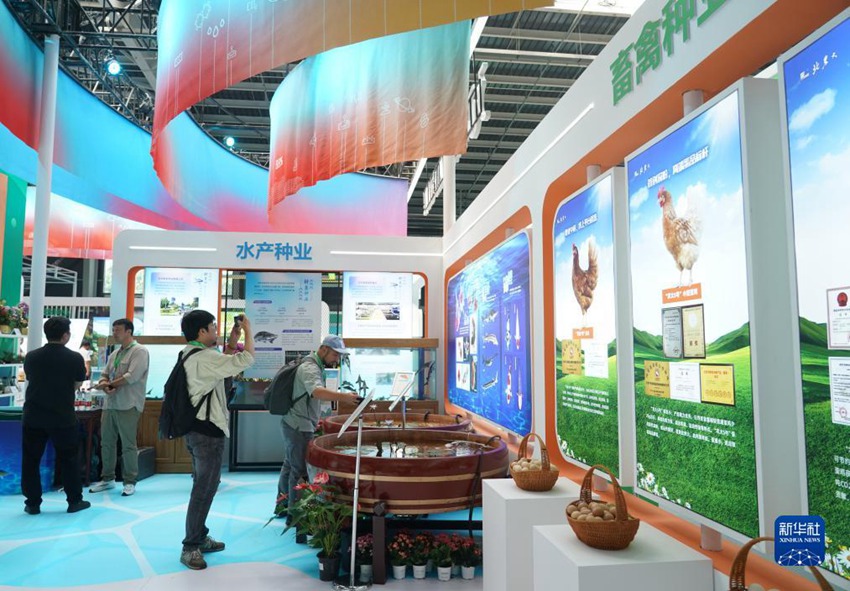 9월 11일 제30회 중국 베이징 종자산업 대회 종자산업 진흥 성과 현장