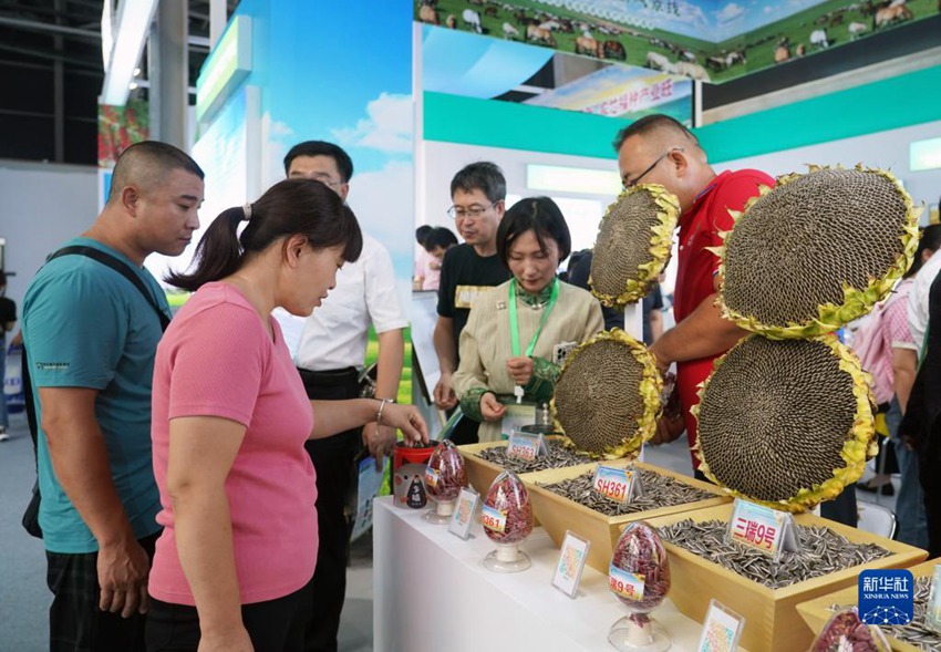 9월 11일, 제30회 중국 베이징 종자산업 대회 종자산업 진흥 성과전을 찾은 관람객