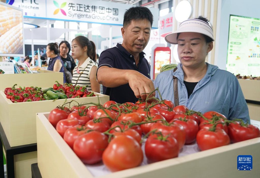 9월 11일, 제30회 중국 베이징 종자산업 대회 종자산업 진흥 성과전을 찾은 관람객
