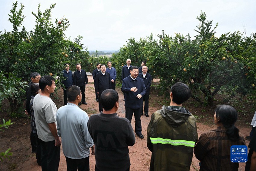 시진핑 주석은 이청구에 위치한 관스류위안 석류재배지에서 현지 주민들과 인사를 나누었다.