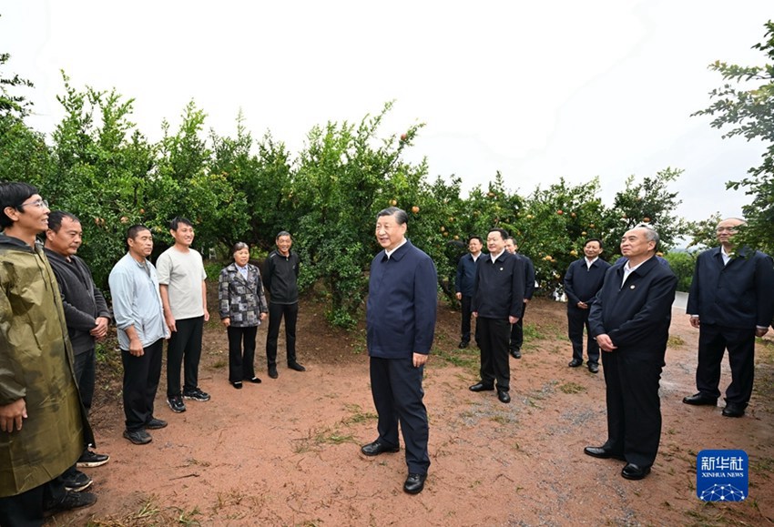 시진핑 주석은 이청구에 위치한 관스류위안 석류재배지에서 현지 주민들과 인사를 나누었다.