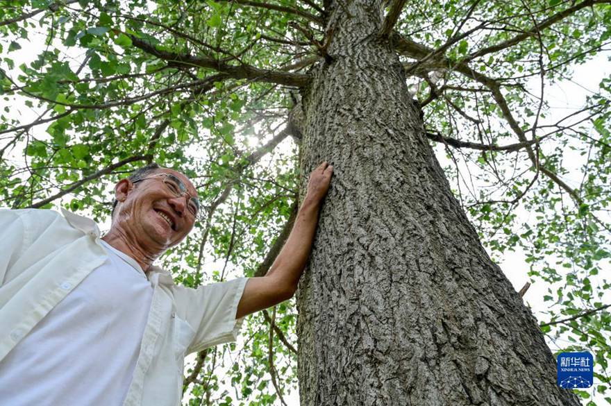 바이순 씨는 자신이 심은 첫 번째 나무를 만져본다. [8월 2일 촬영/사진 출처: 신화사]