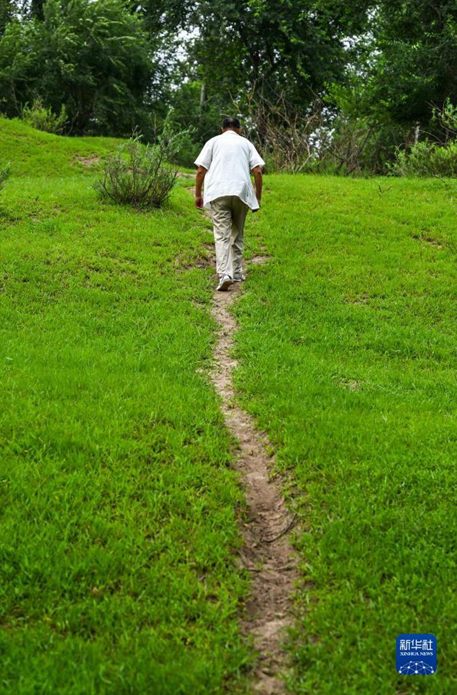 바이순 씨는 나무 사잇길을 걷는다. [8월 2일 촬영/사진 출처: 신화사]