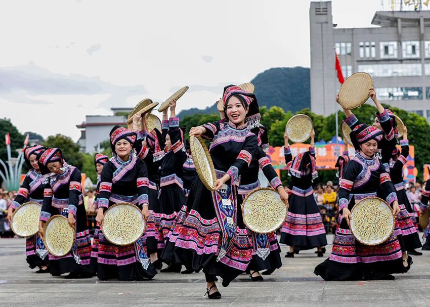 좡족 주민들이 풍년을 경축한다. [사진 제공: 톈덩현 융합미디어센터]