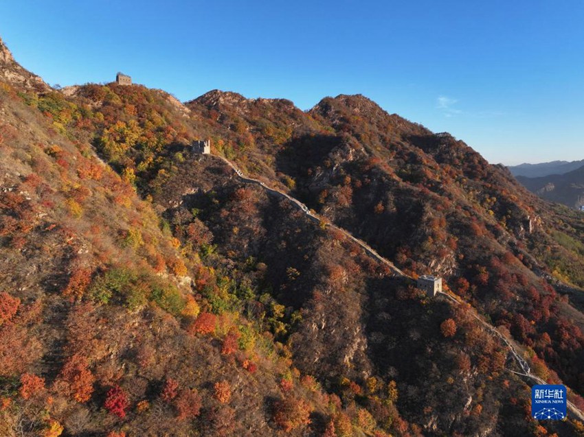 허베이성 탕산시 첸시현 칭산관 창청의 가을 풍경 [10월 26일 드론 촬영/사진 촬영: 왕아이쥔]