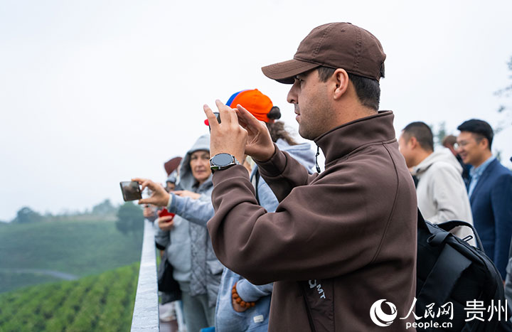 구이저우성 백차 농원 찾은 유라시아 언론 기자단 사로잡은 茶香…‘좋아요’ 꾹