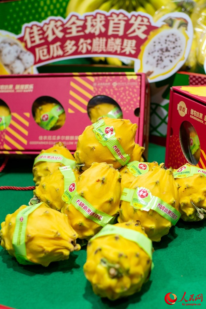식품농산품 전시장에서 세계 최초로 선보이는 에콰도르 노란 용과 [11월 5일 촬영/사진 출처: 인민망]